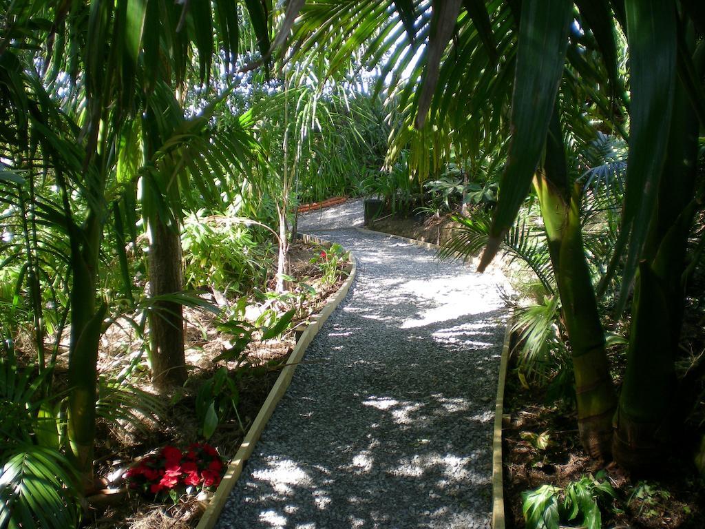 Whangamata Vistas B&B מראה חיצוני תמונה